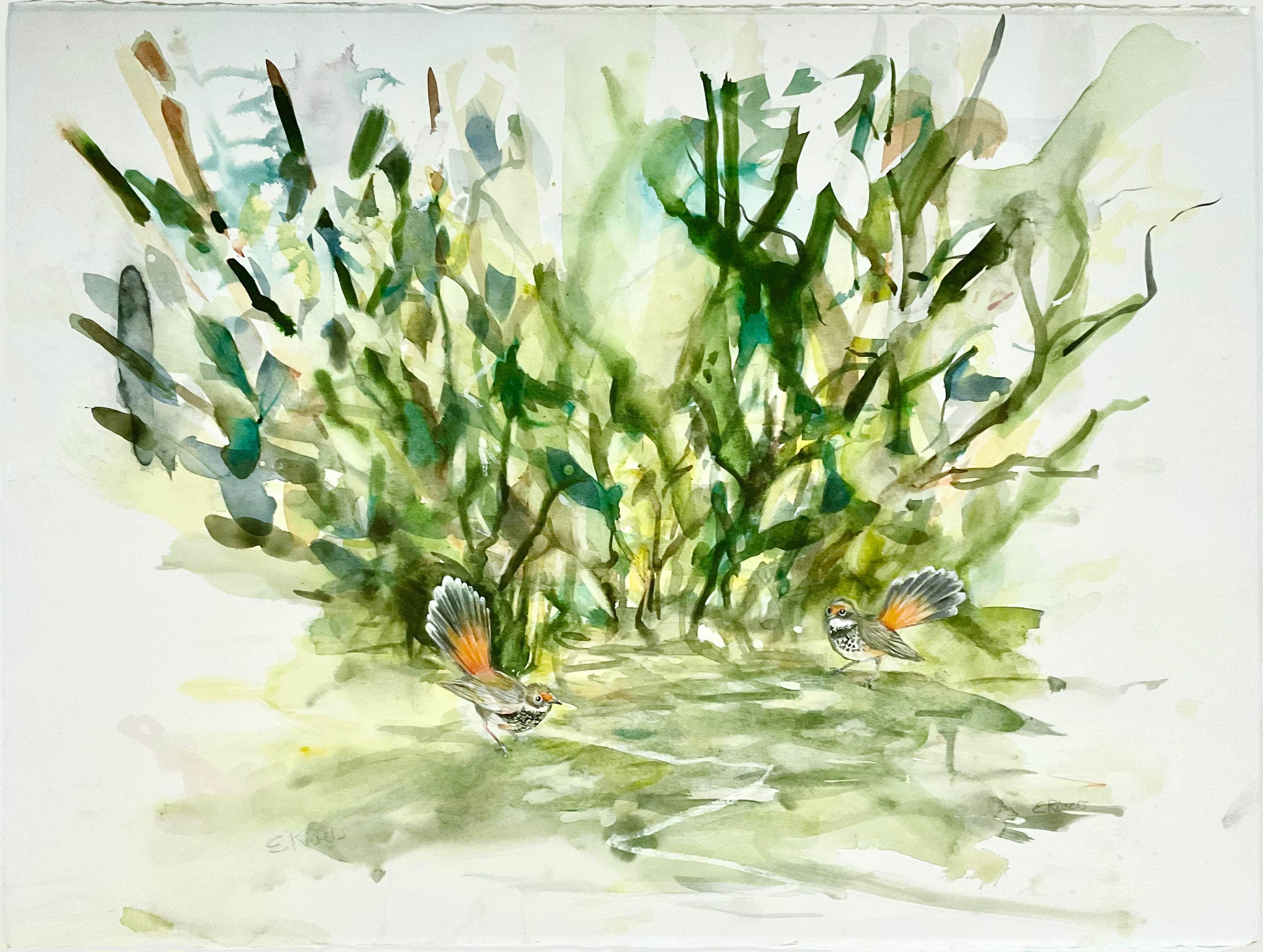 Rufous fantails 1000px