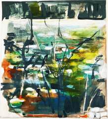 Gariwerd Green Swamp 2