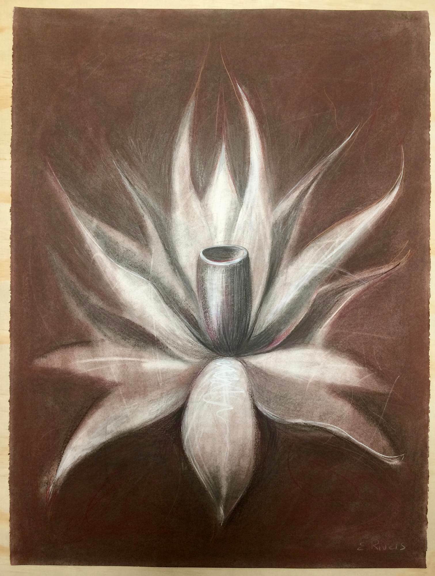 Botanica Regina 1 px