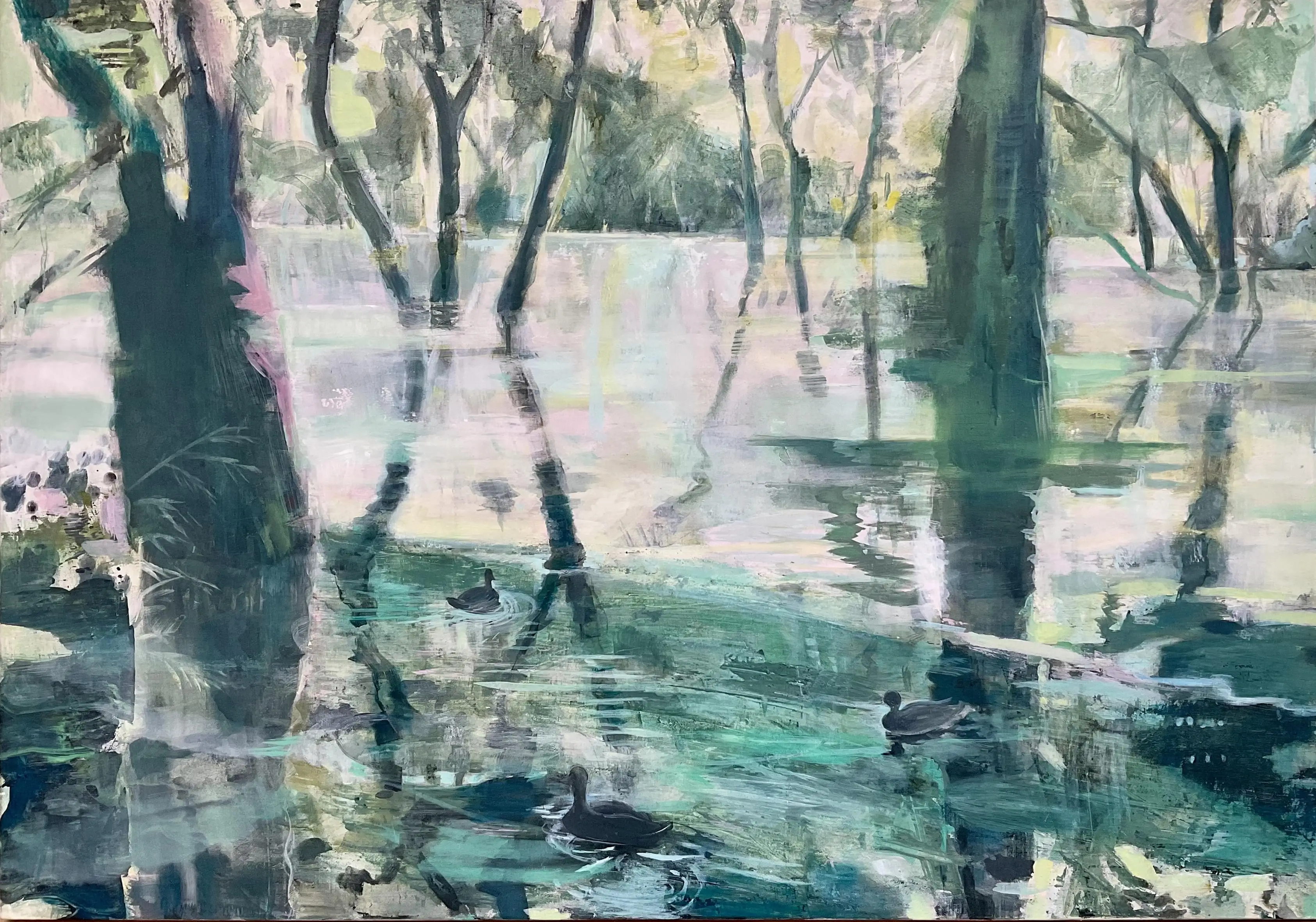 Ducks, Early Morning Sanctuary Lake