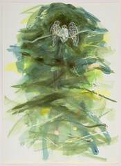 Powerful owls 1000px