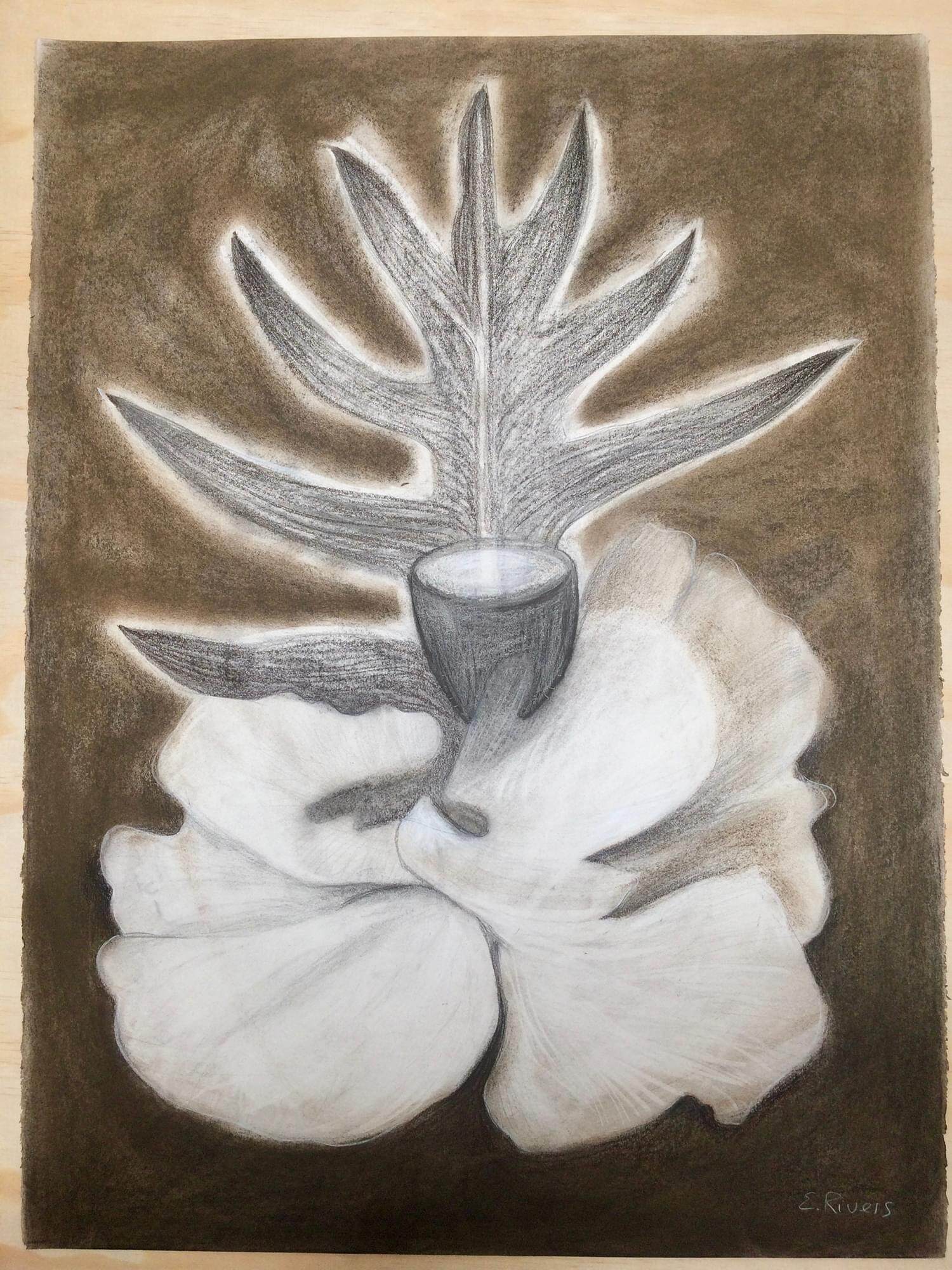 Botanica Regina 2 px