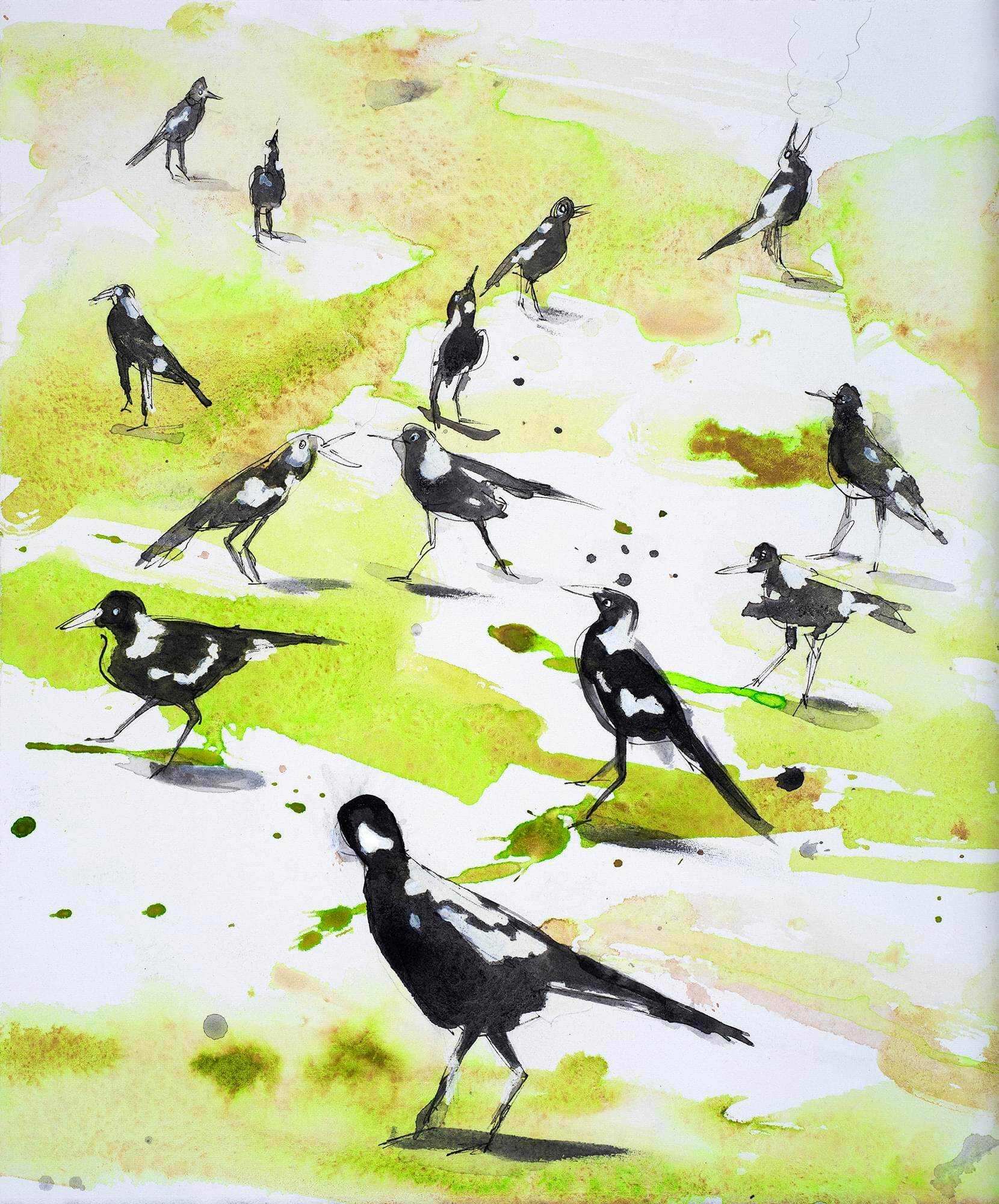 Magpies px