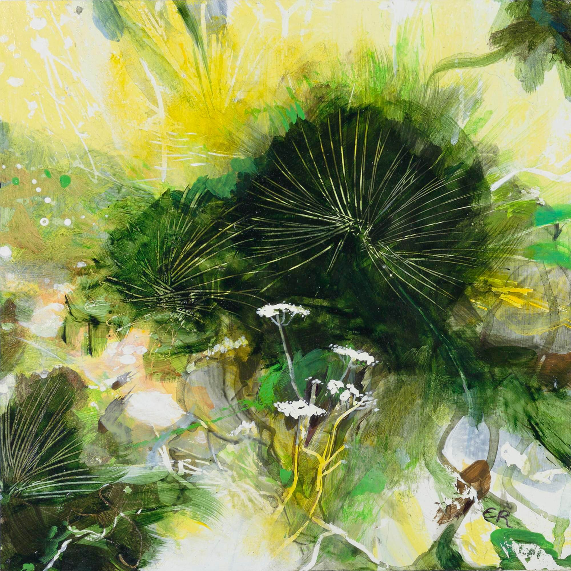 Rice Flower and Grass Tree px